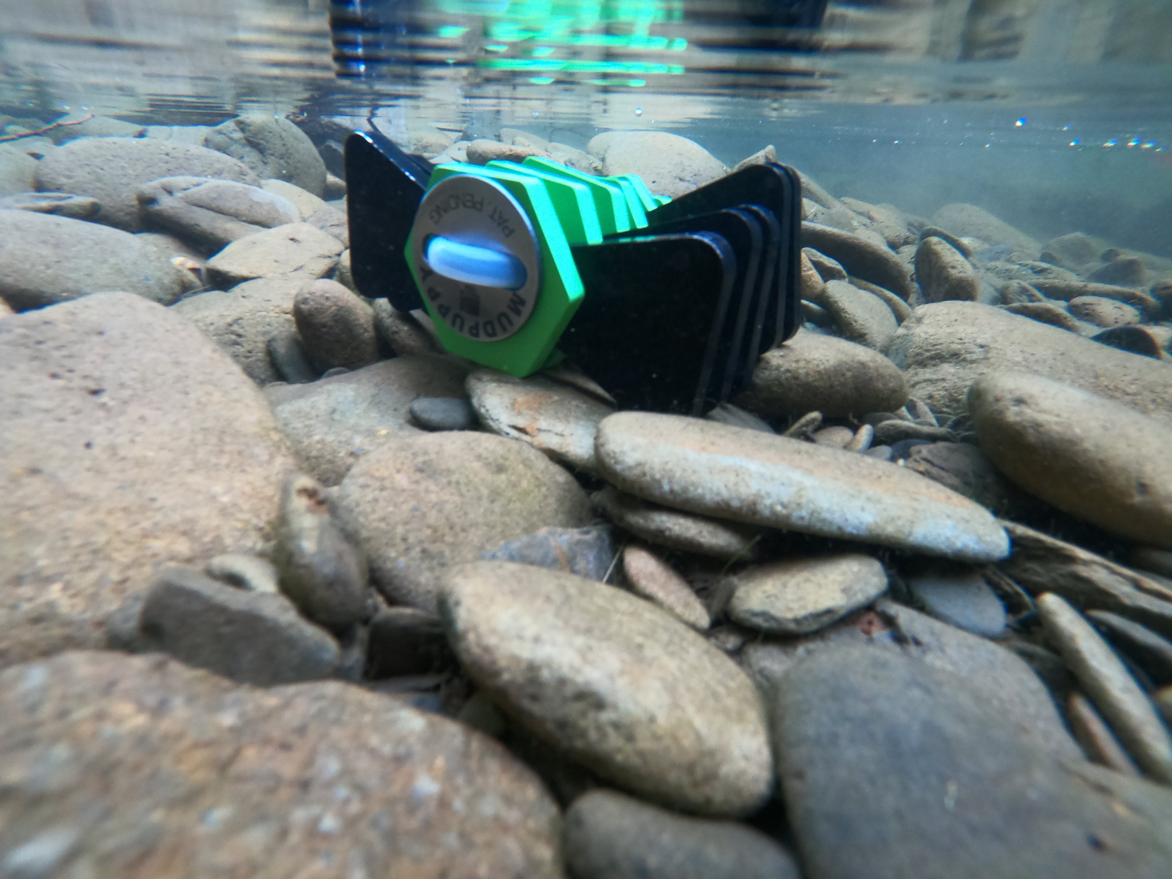 4.5 LB Mudpuppy Kayak Anchor