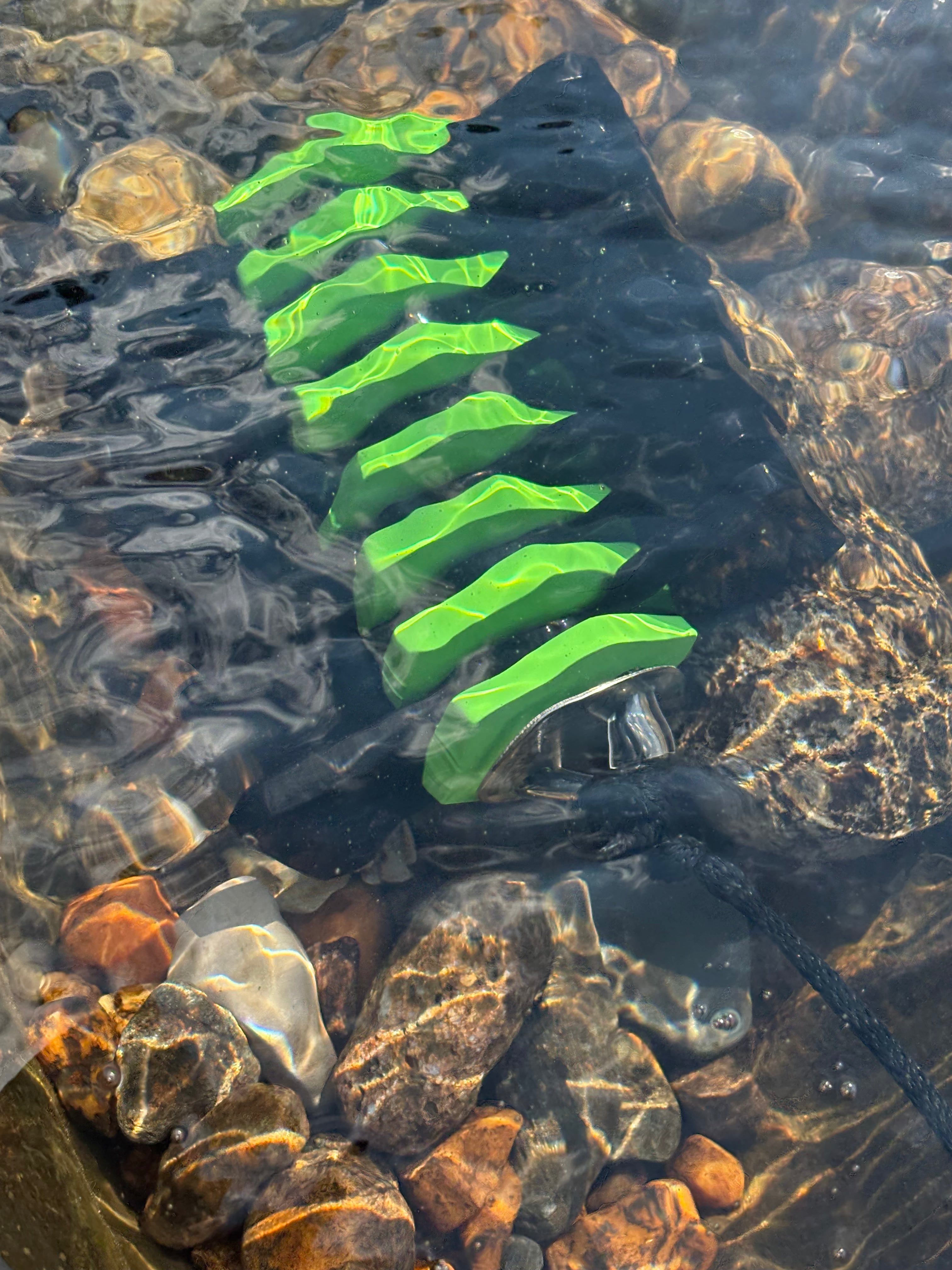 6 LB Mudpuppy Fishing Kayak Anchor